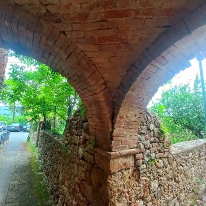 La Casa Del Gallo Radicondoli ภายนอก รูปภาพ